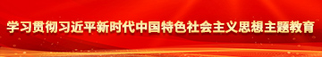 www.999caobi.com学习贯彻习近平新时代中国特色社会主义思想主题教育